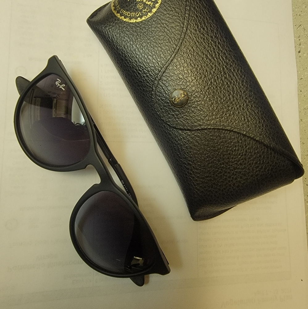Ray Ban Erica sunglasses